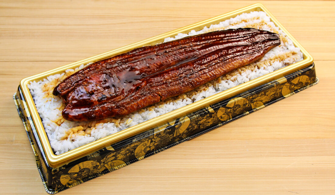 浜名湖産うな重
